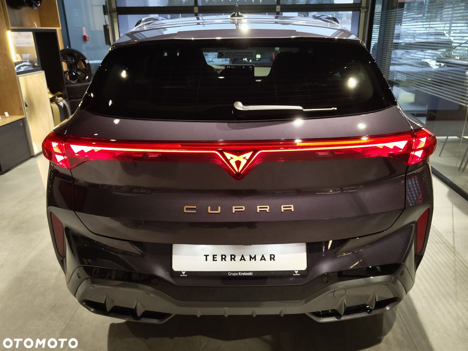 Cupra Terramar - 5