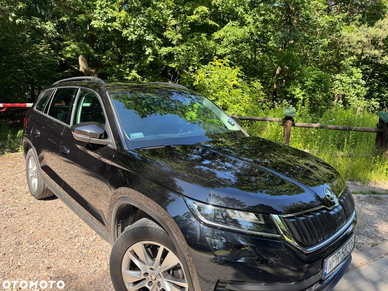 Skoda Kodiaq 2.0 TSI 4x4 Business DSG - 6