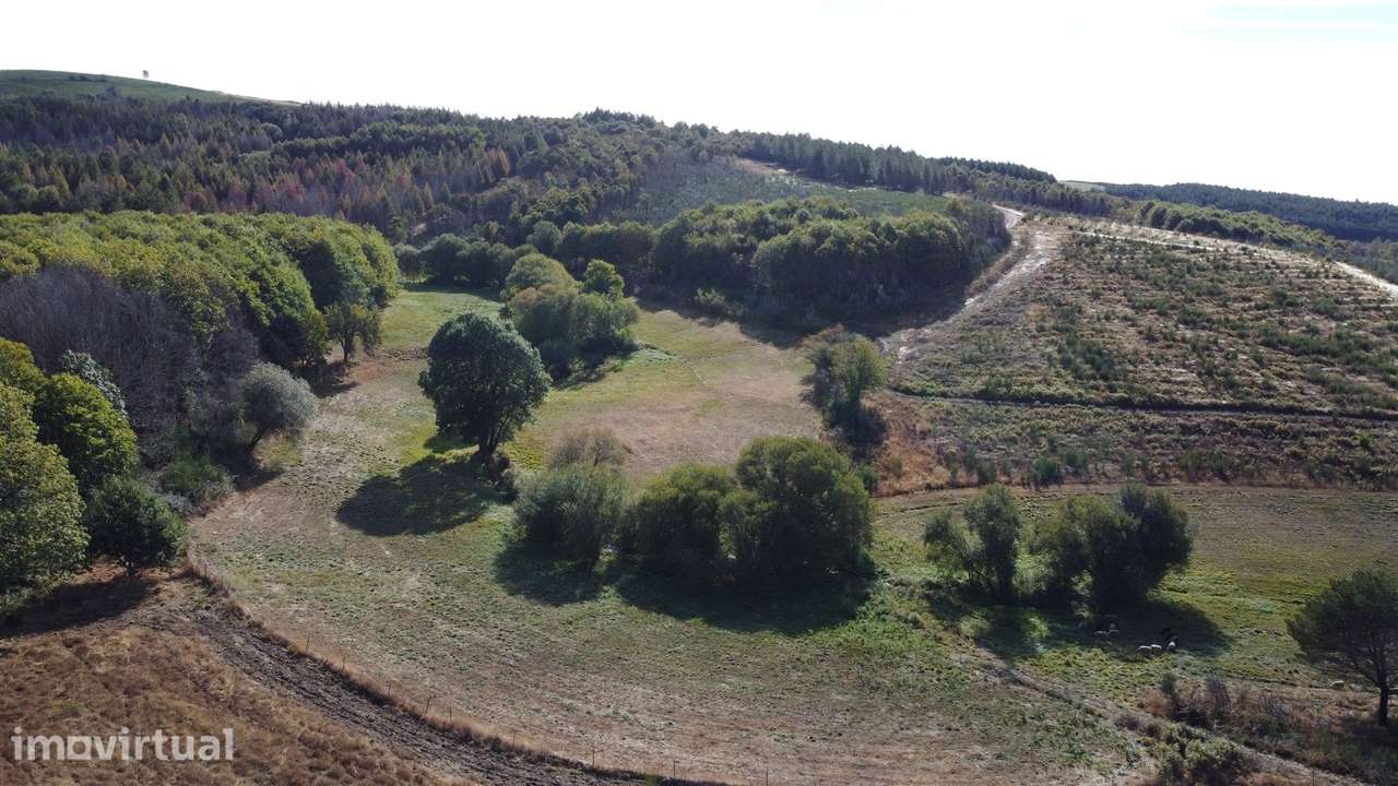 Duas habitações em 18 hectares - Grande imagem: 4/21