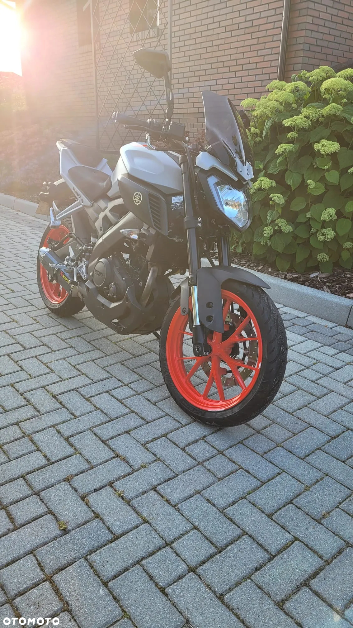 Yamaha MT - 5