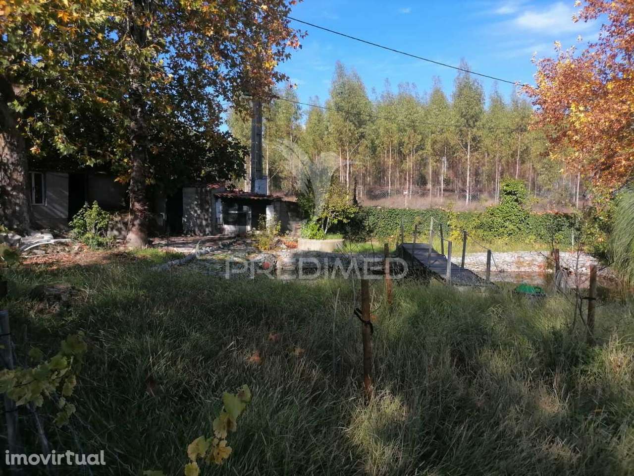 Terreno Agrícola - Grande imagem: 3/10