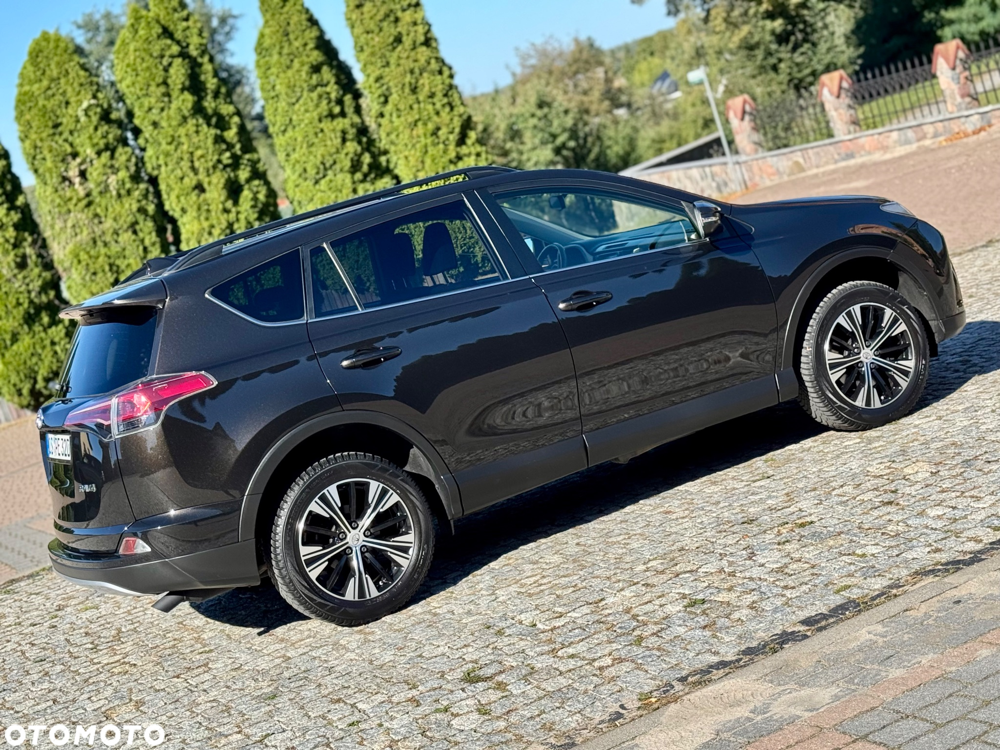 Toyota RAV4 2.0 D-4D Premium 4x2 - 25