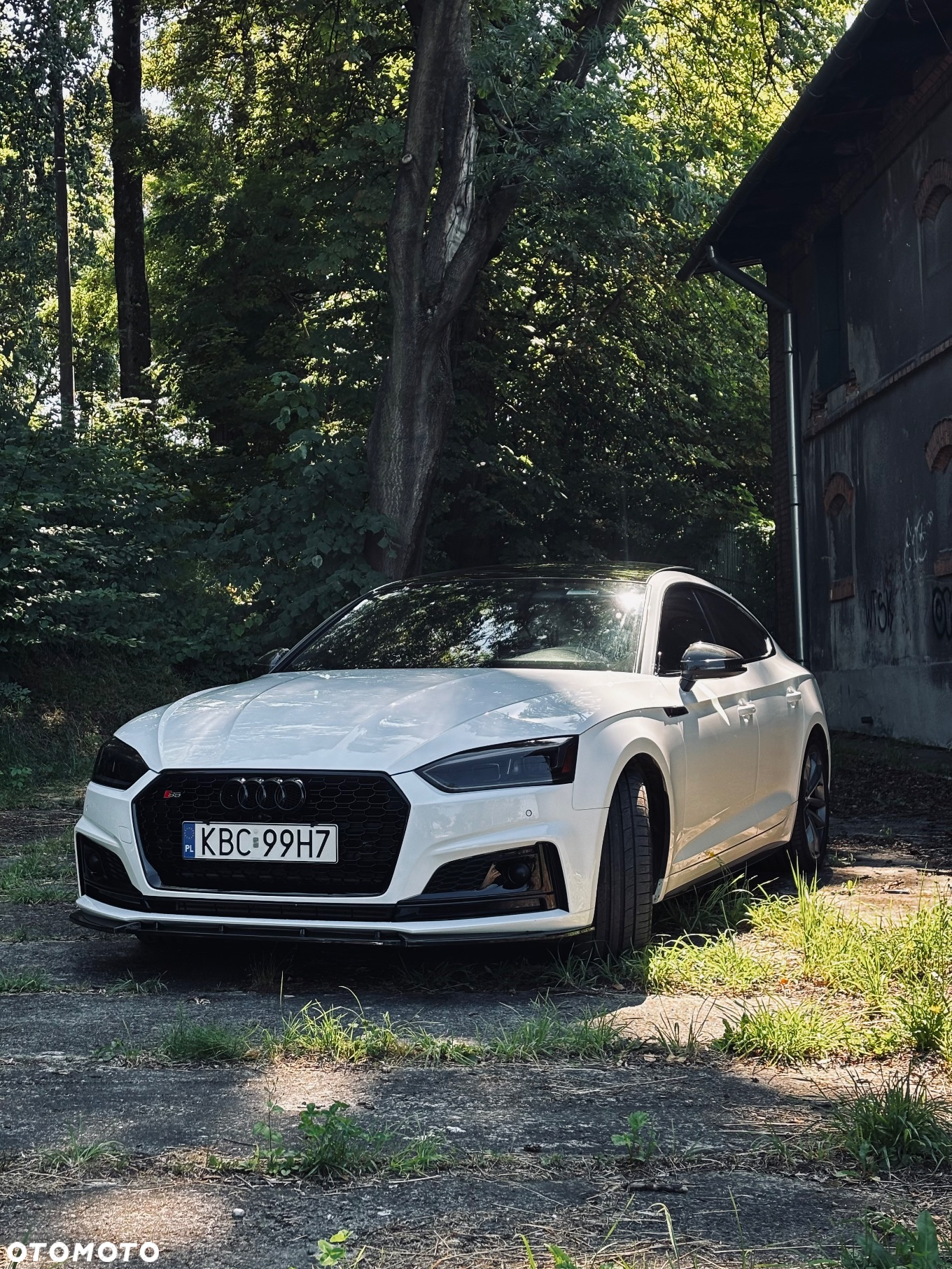 Audi S5 3.0 TFSI Quattro Tiptronic - 14