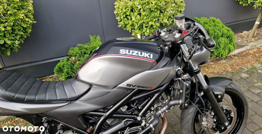 Suzuki SV - 12