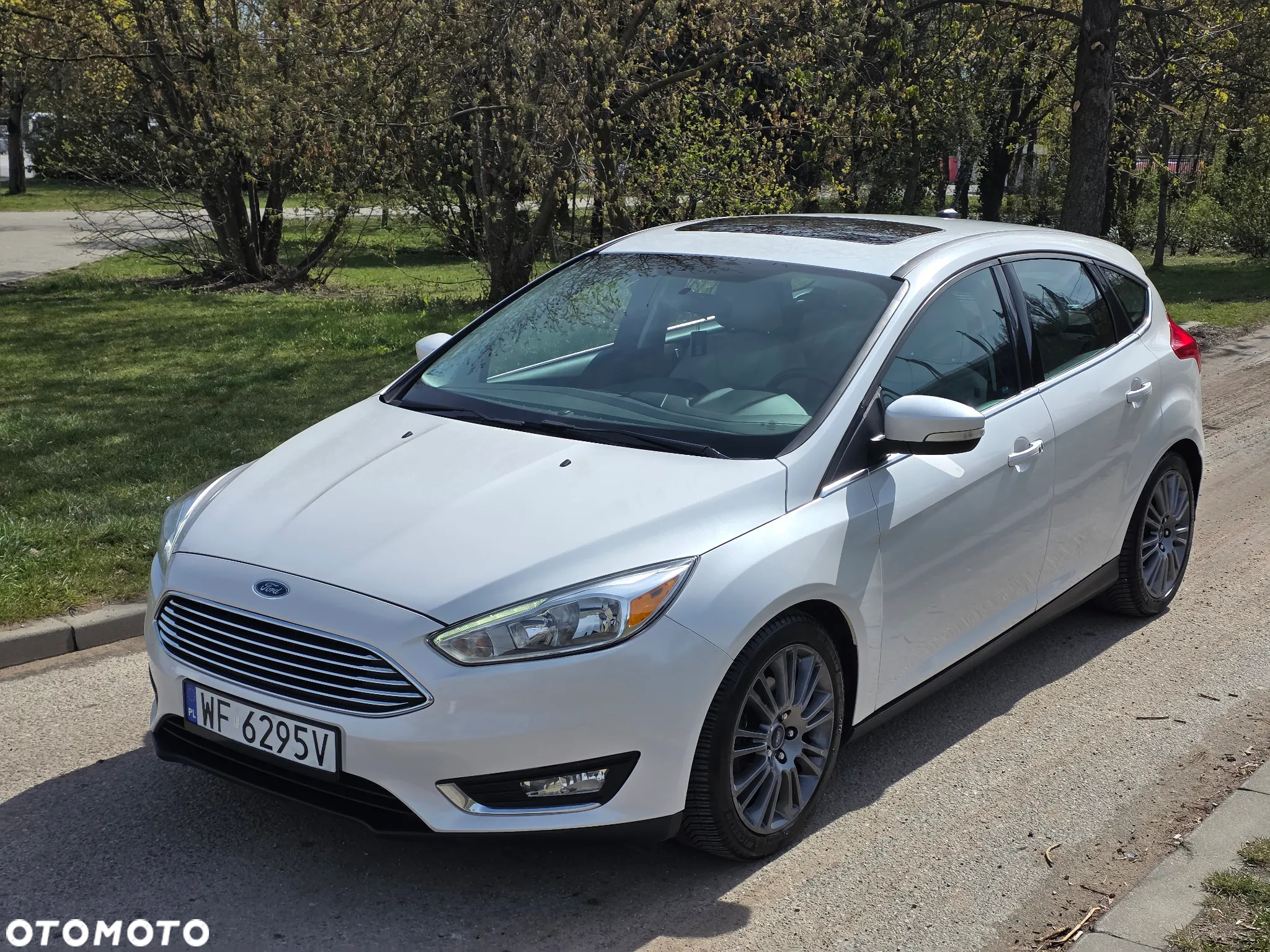 Ford Focus - 17