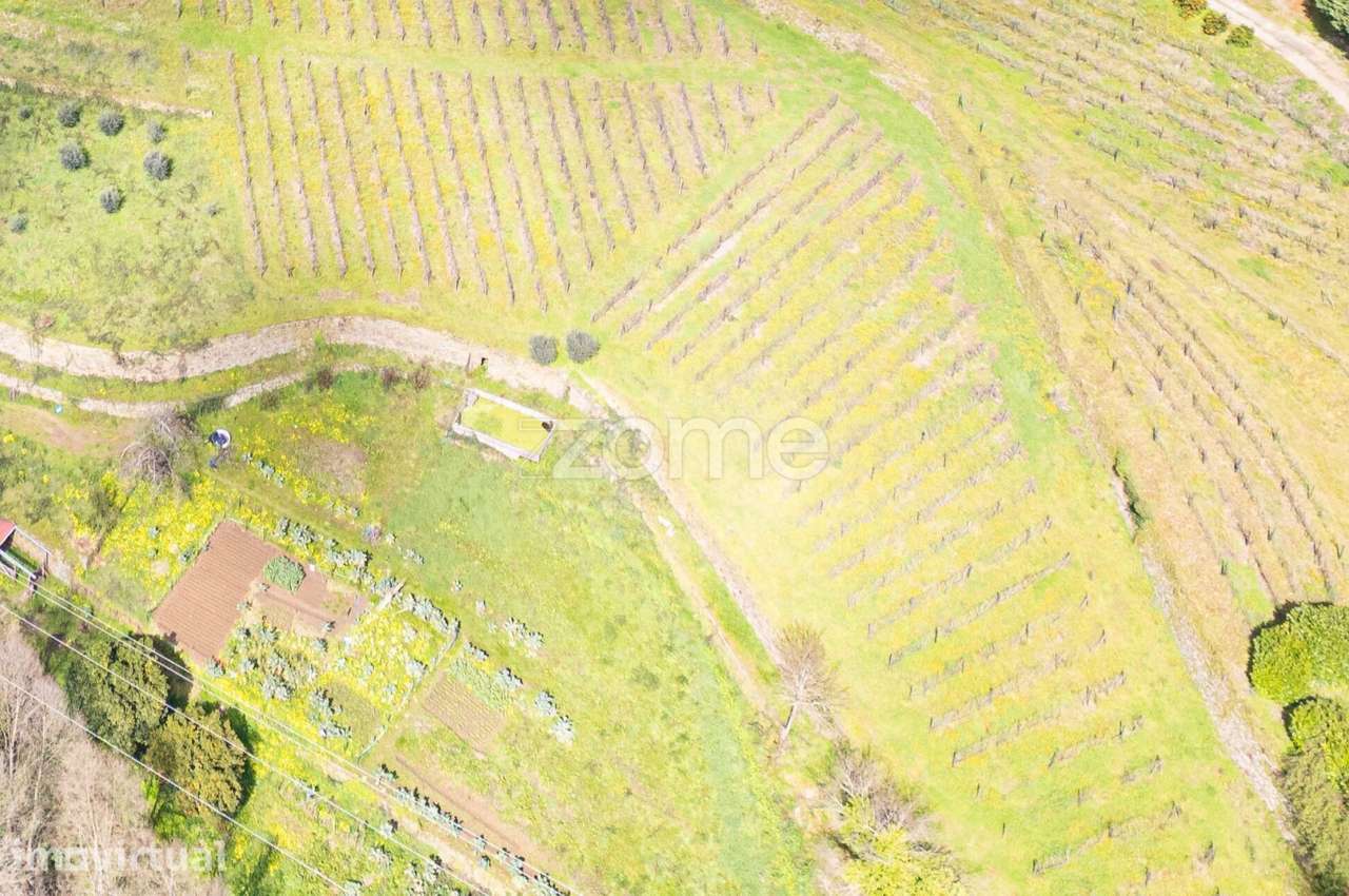 Quinta no Douro - Grande imagem: 2/15