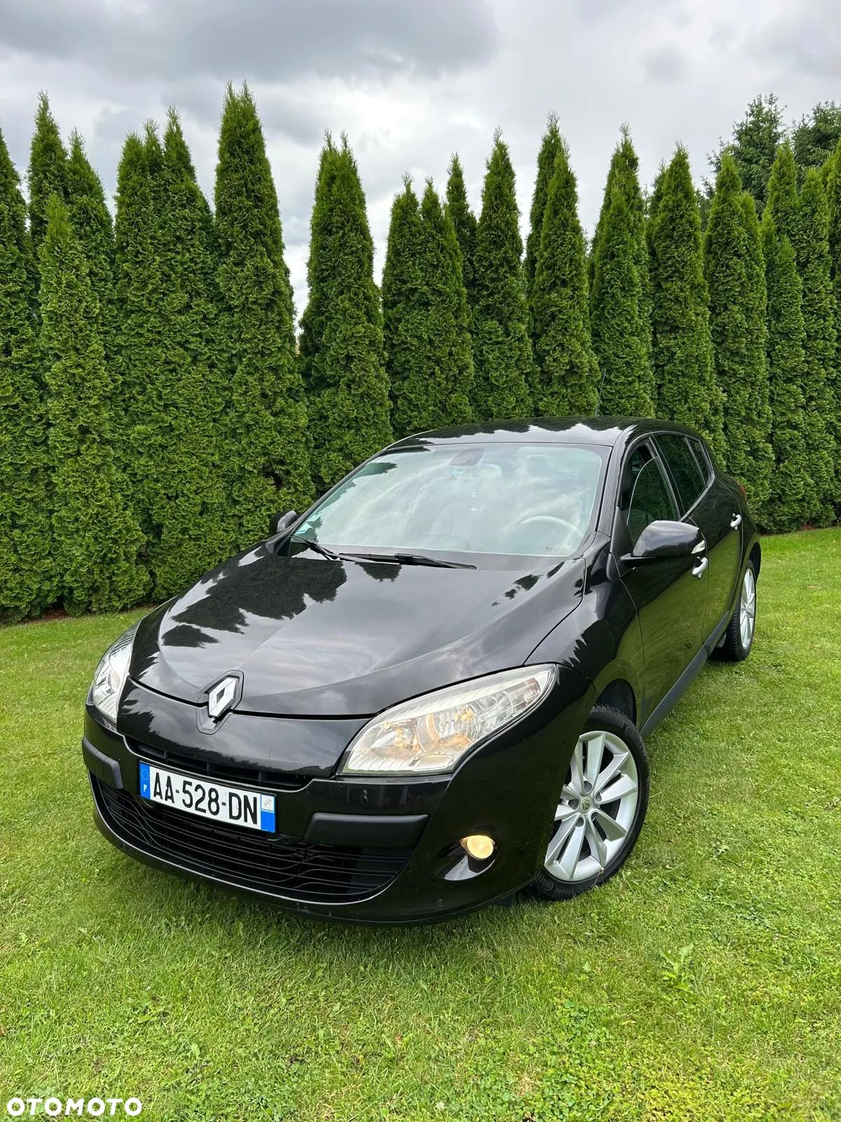 Renault Megane II 1.9 dCi Dynamique - 1