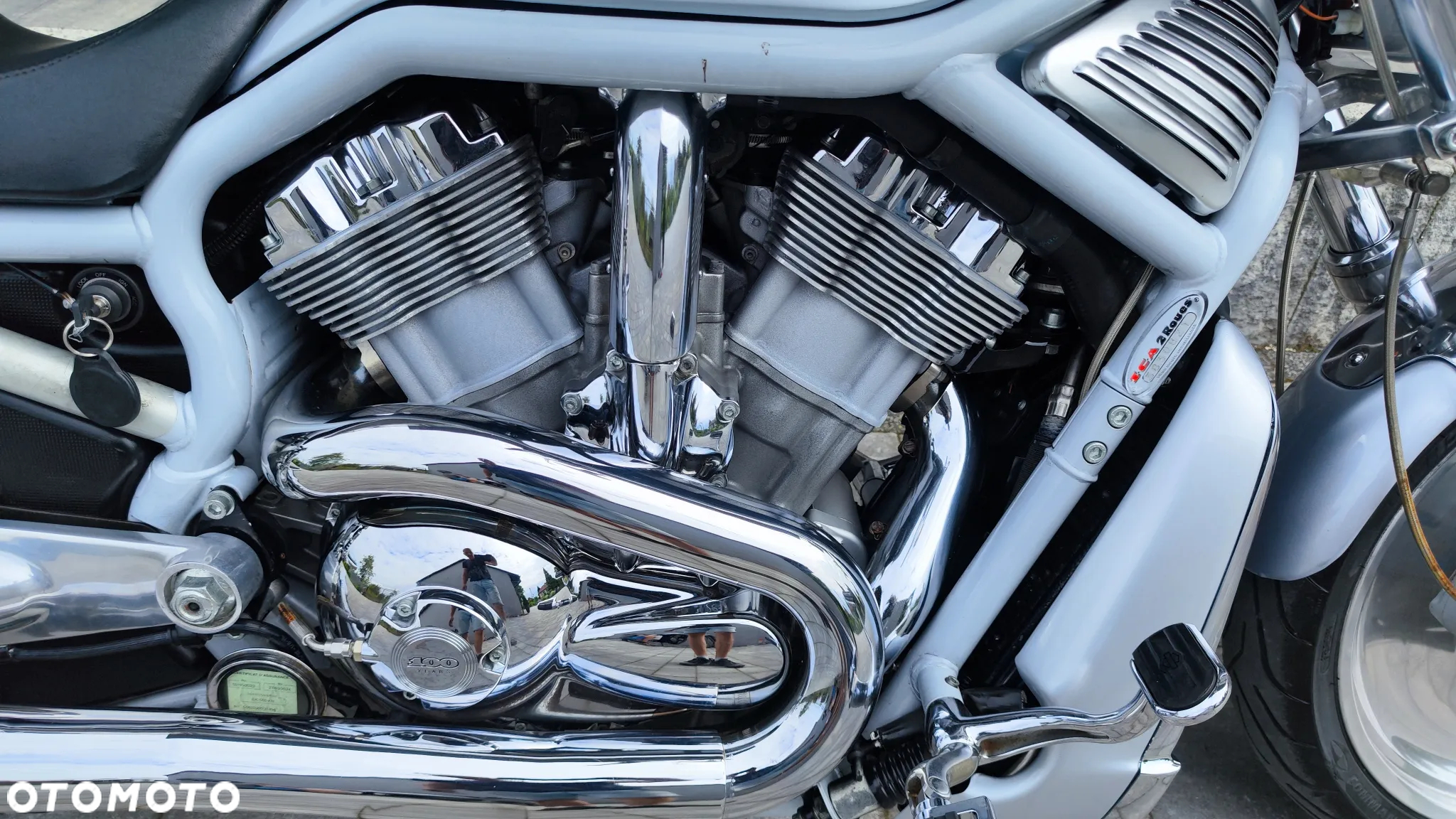 Harley-Davidson Softail V-Rod - 6