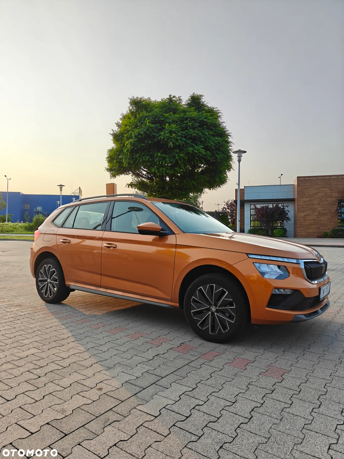 Skoda Kamiq 1.5 TSI Selection DSG - 7