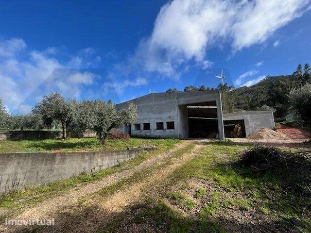 Oportunidade em Penacova: Pavilhão Industrial e Administrativo com Ter - Grande imagem: 5/37