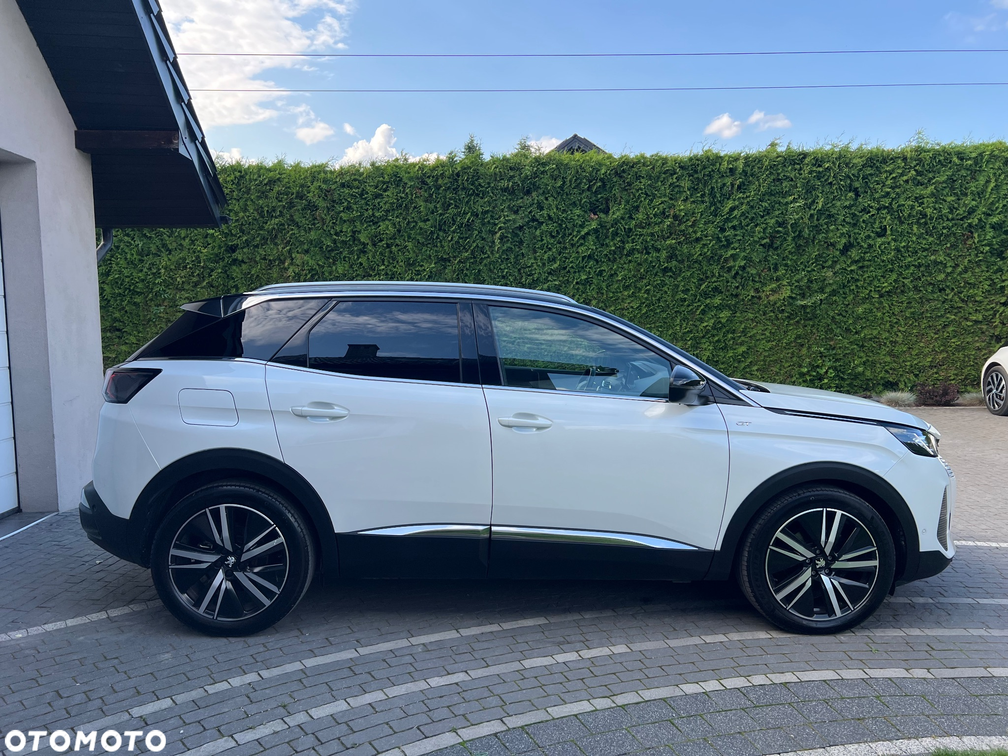 Peugeot 3008 1.5 BlueHDi GT Pack S&S EAT8 - 8