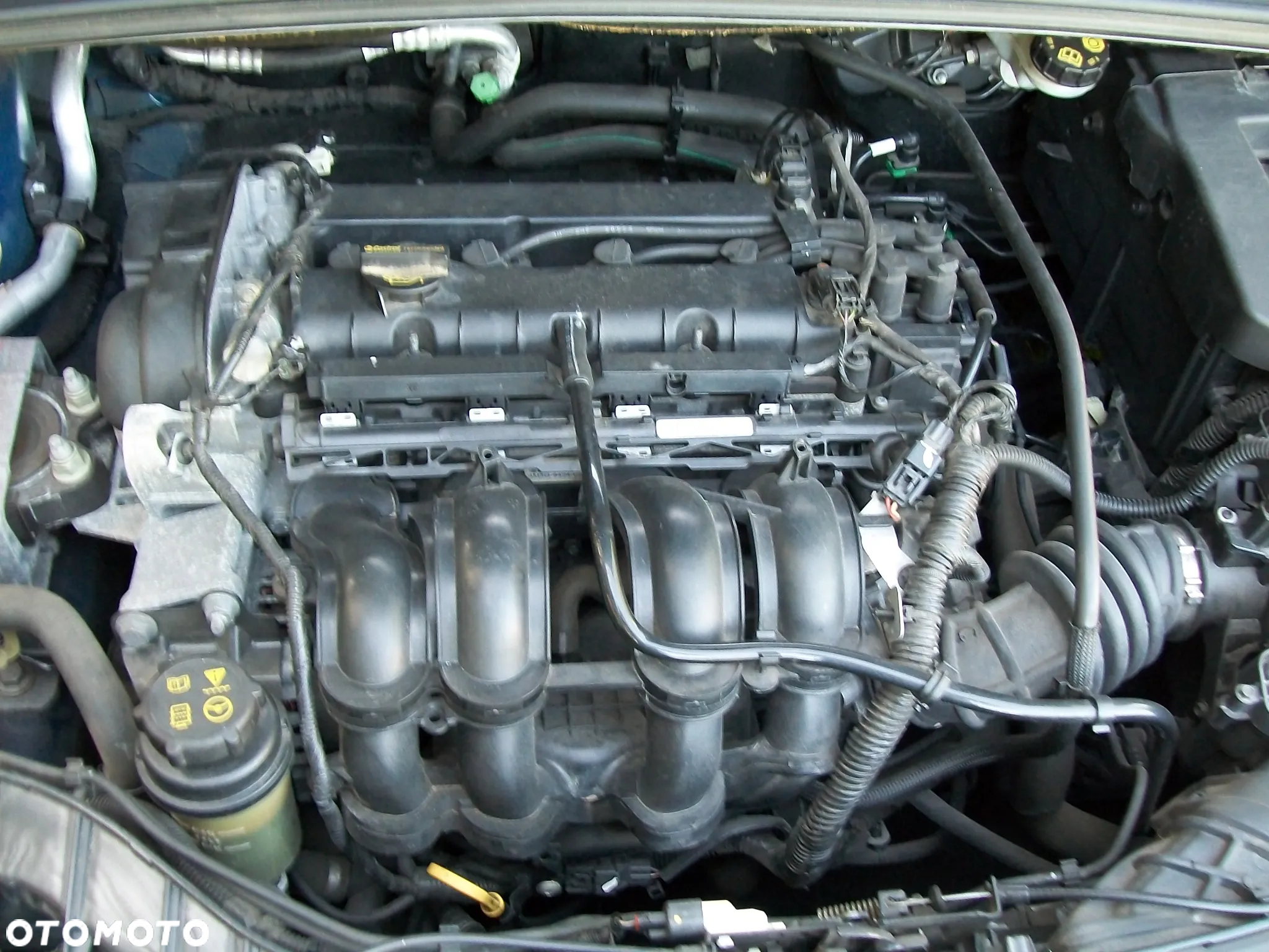 Ford Focus - 18