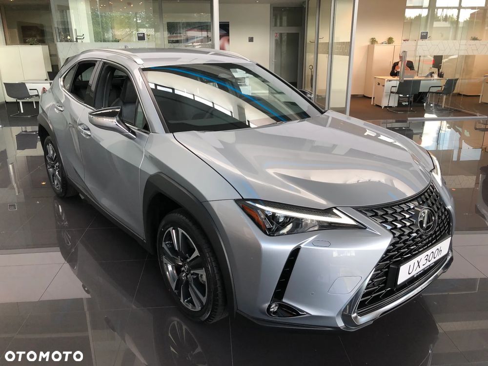 Lexus UX 300h Business