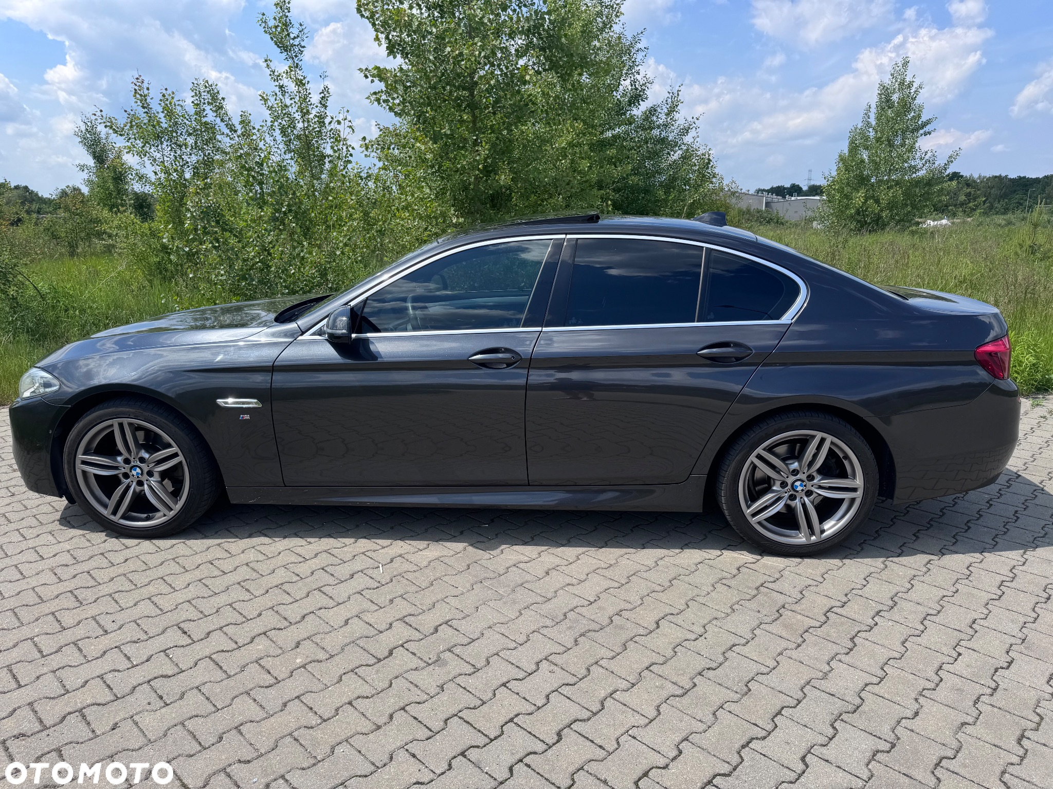 BMW Seria 5 520d xDrive - 11