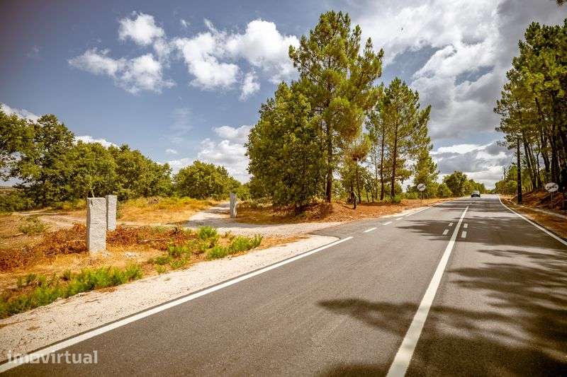 Quinta 27.000m² com Poço, Charca e Potencial de Construção - Sabugal - Grande imagem: 4/12