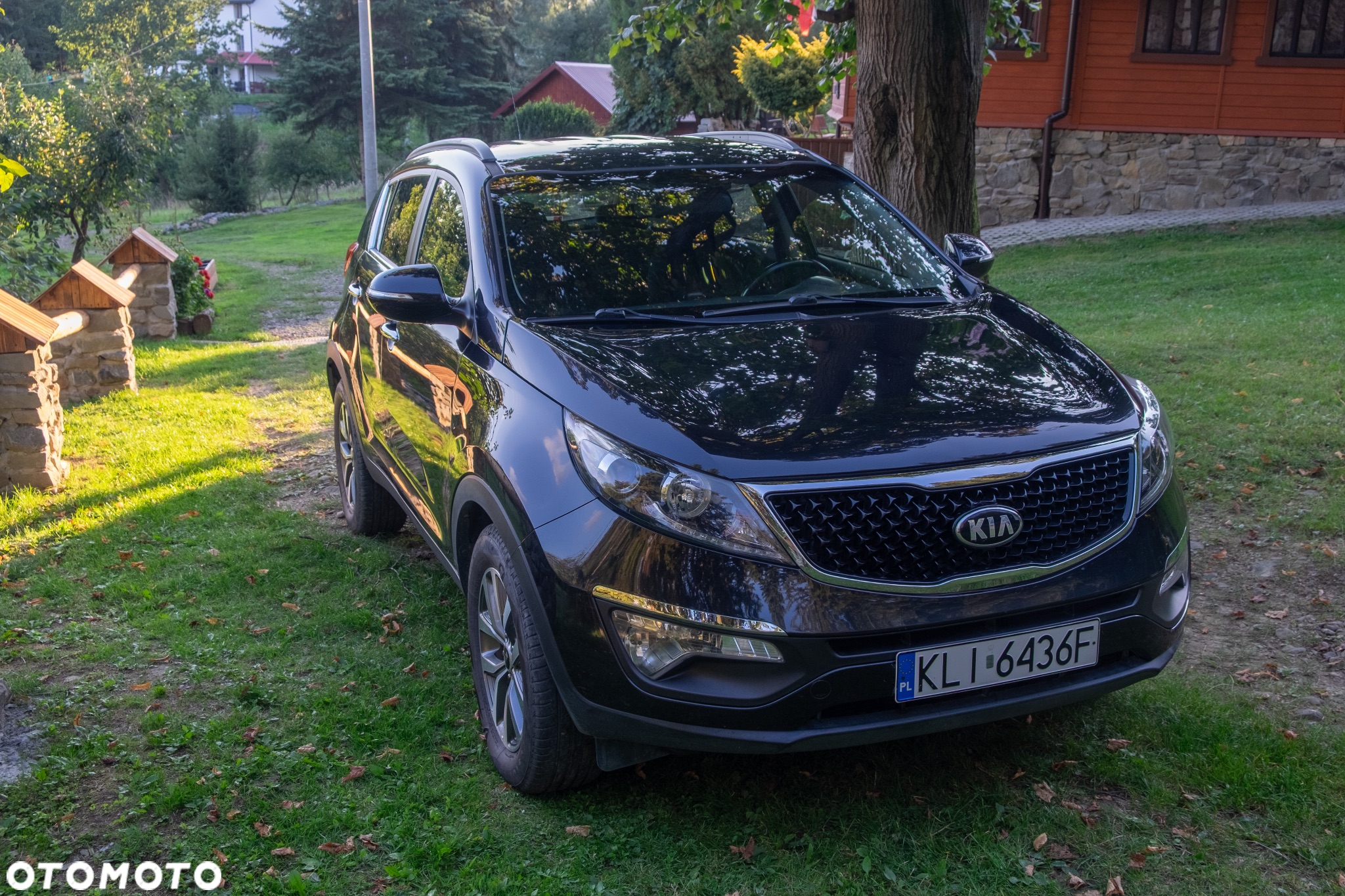 Kia Sportage 1.6 GDI Business Line 2WD - 16