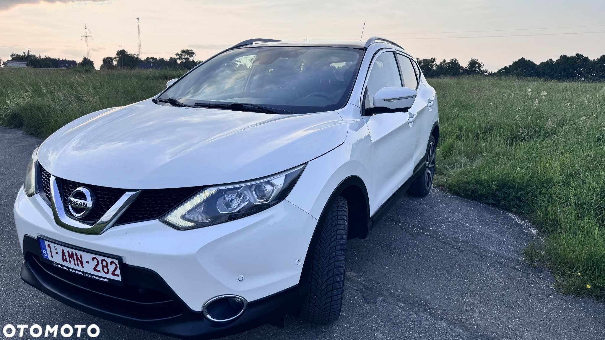Nissan Qashqai 1.6 dCi 4x4 360 S&S - 36