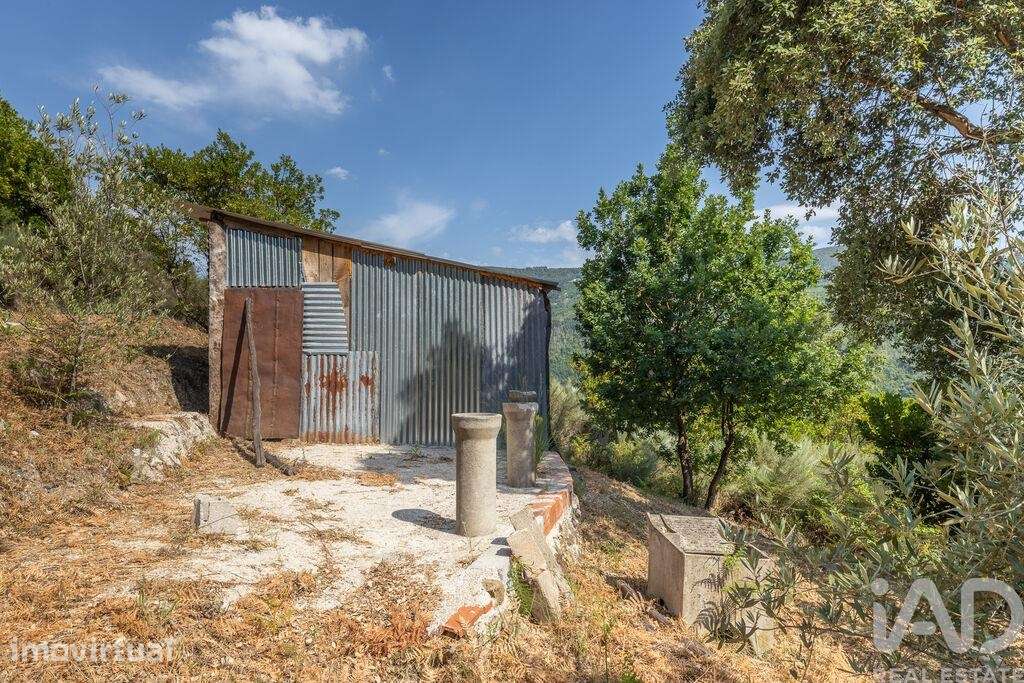 Terreno Agrícola em Sandomil - Grande imagem: 5/13