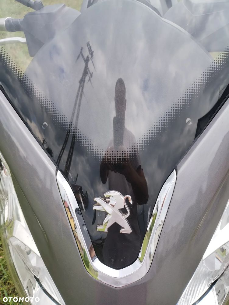 Peugeot Satelis - 10