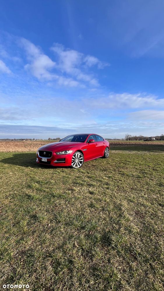 Jaguar XE - 16