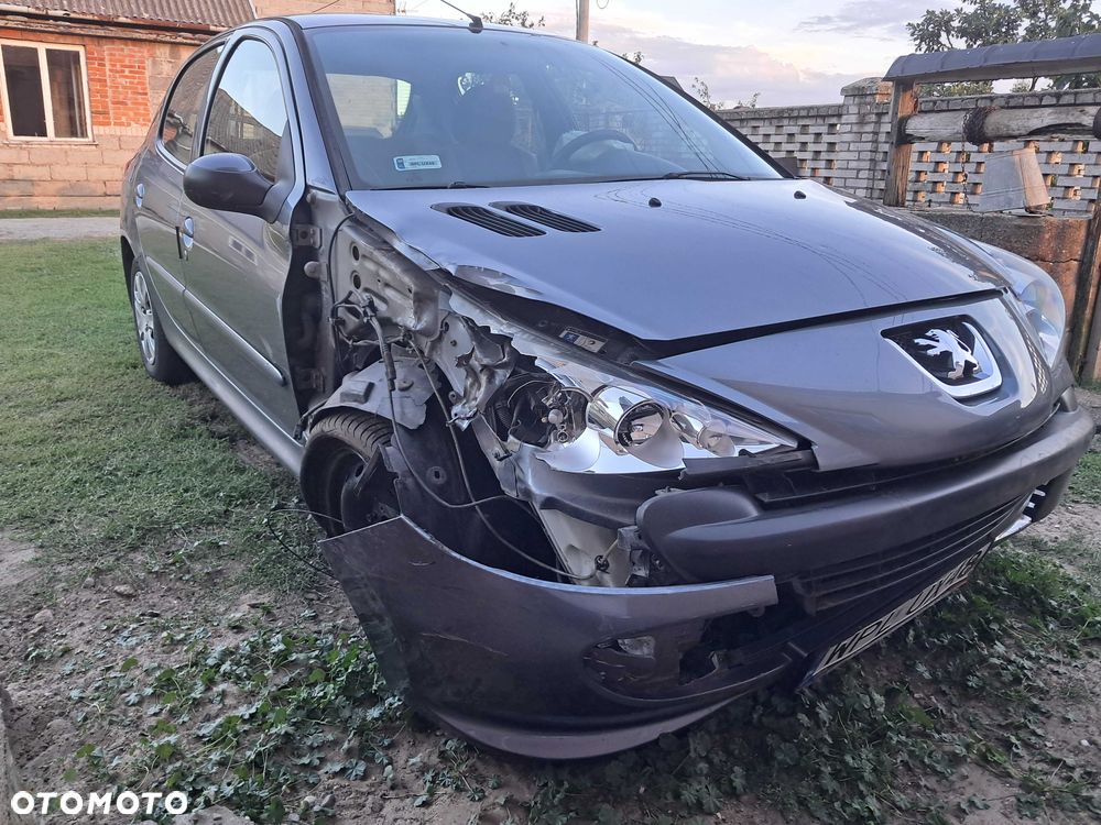 Peugeot 206 plus - 4