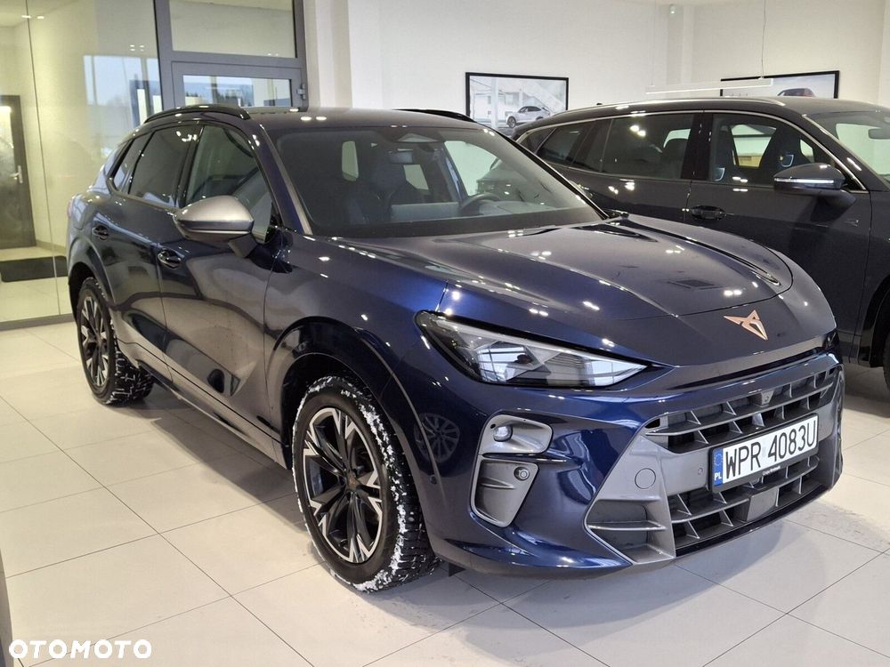 Cupra Terramar - 5