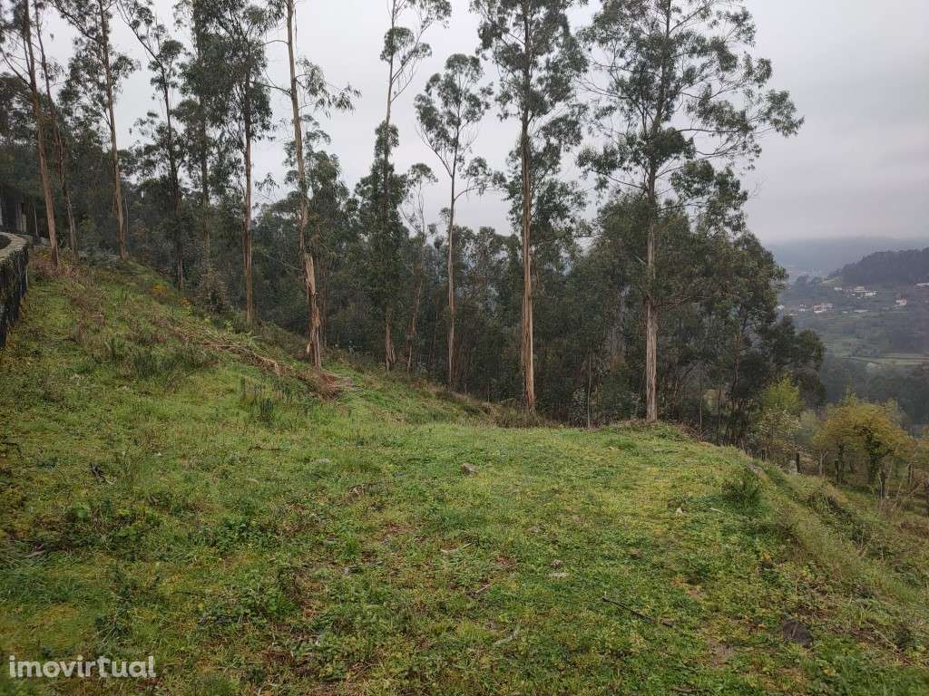 Terreno Rústico - Grande imagem: 2/6