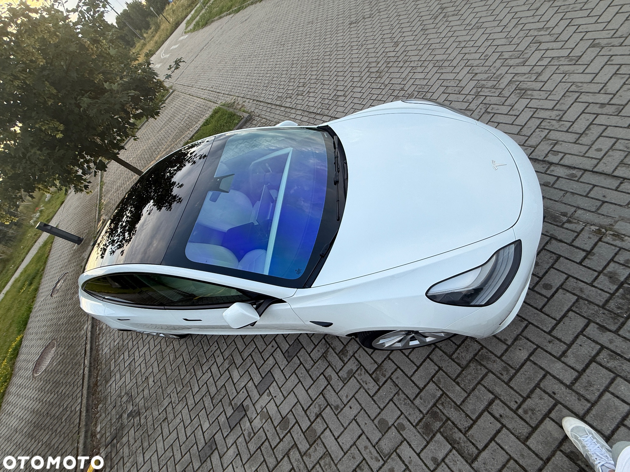 Tesla Model 3 - 16