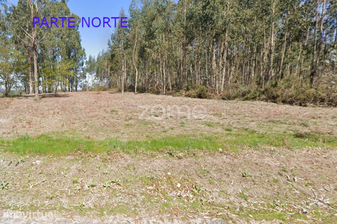 Terreno em Santa Luzia, Monte Córdova - Grande imagem: 2/10