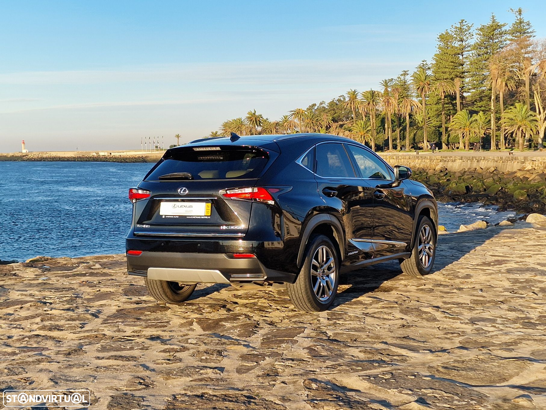 Lexus NX 300h - 5