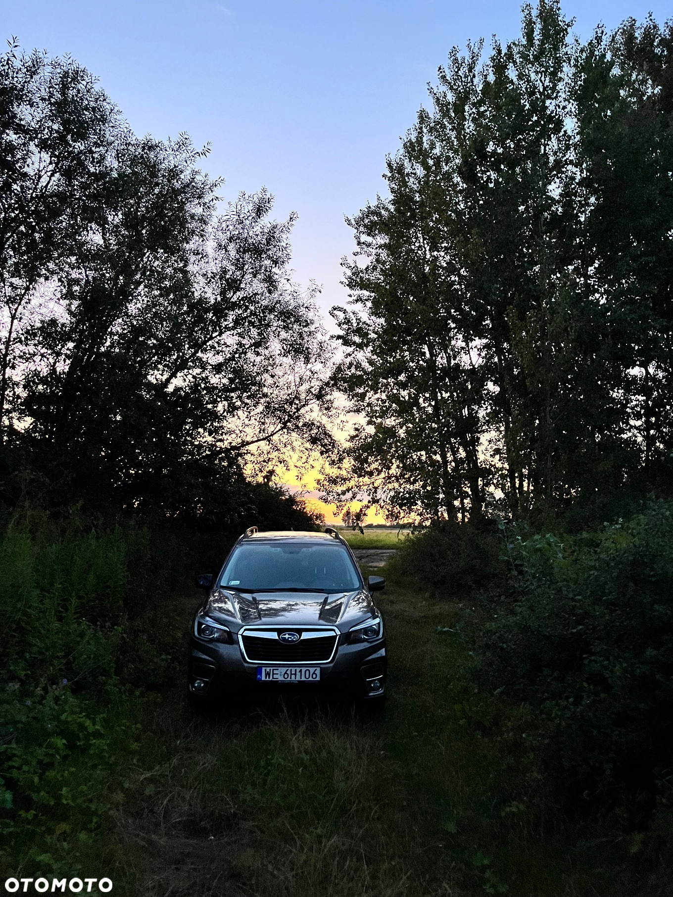 Subaru Forester - 9