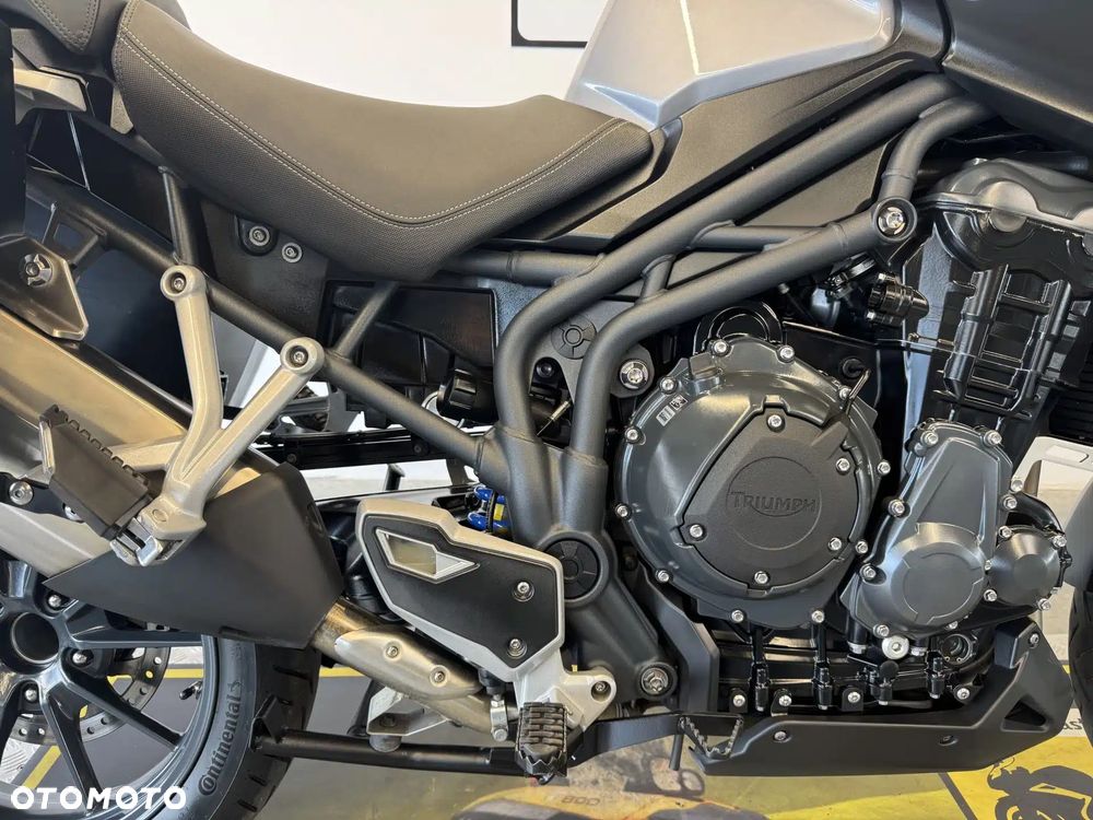 Triumph Tiger - 14