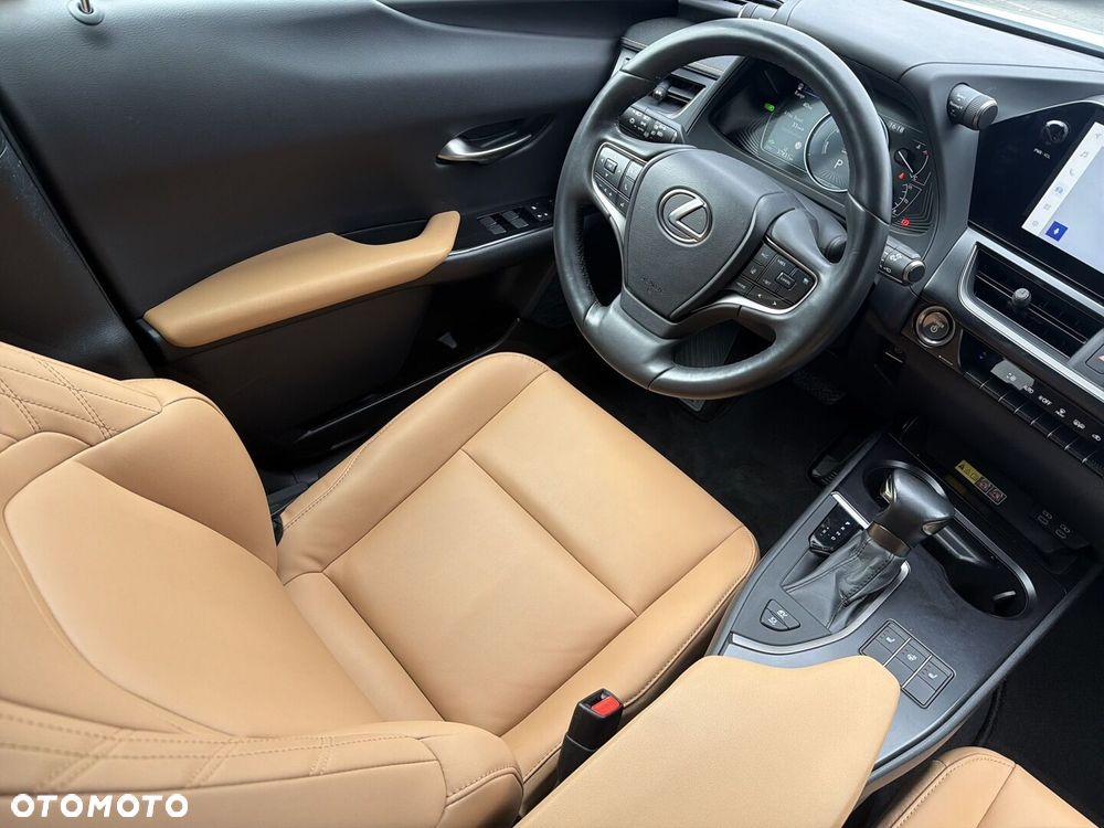 Lexus UX 250h GPF F Sport Design 2WD - 13