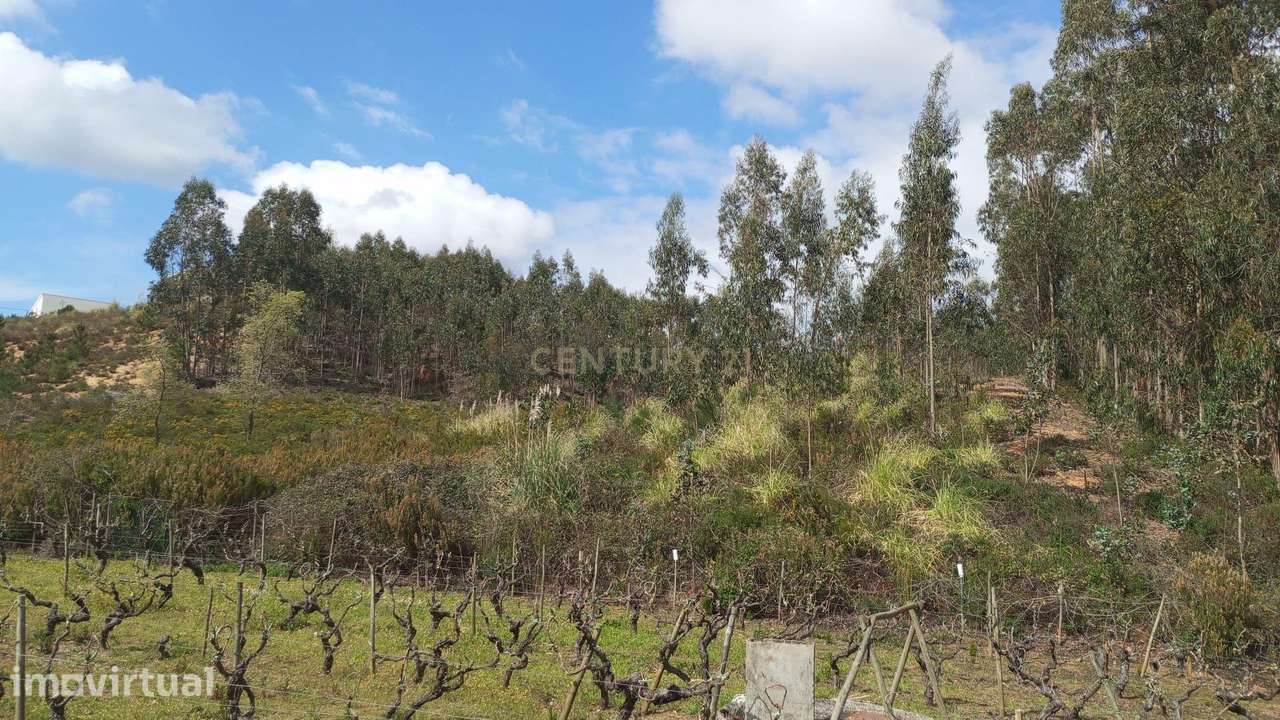 Terreno Rústico à Venda – 1800 m² em Vale Moreira, Vilar - Grande imagem: 5/11