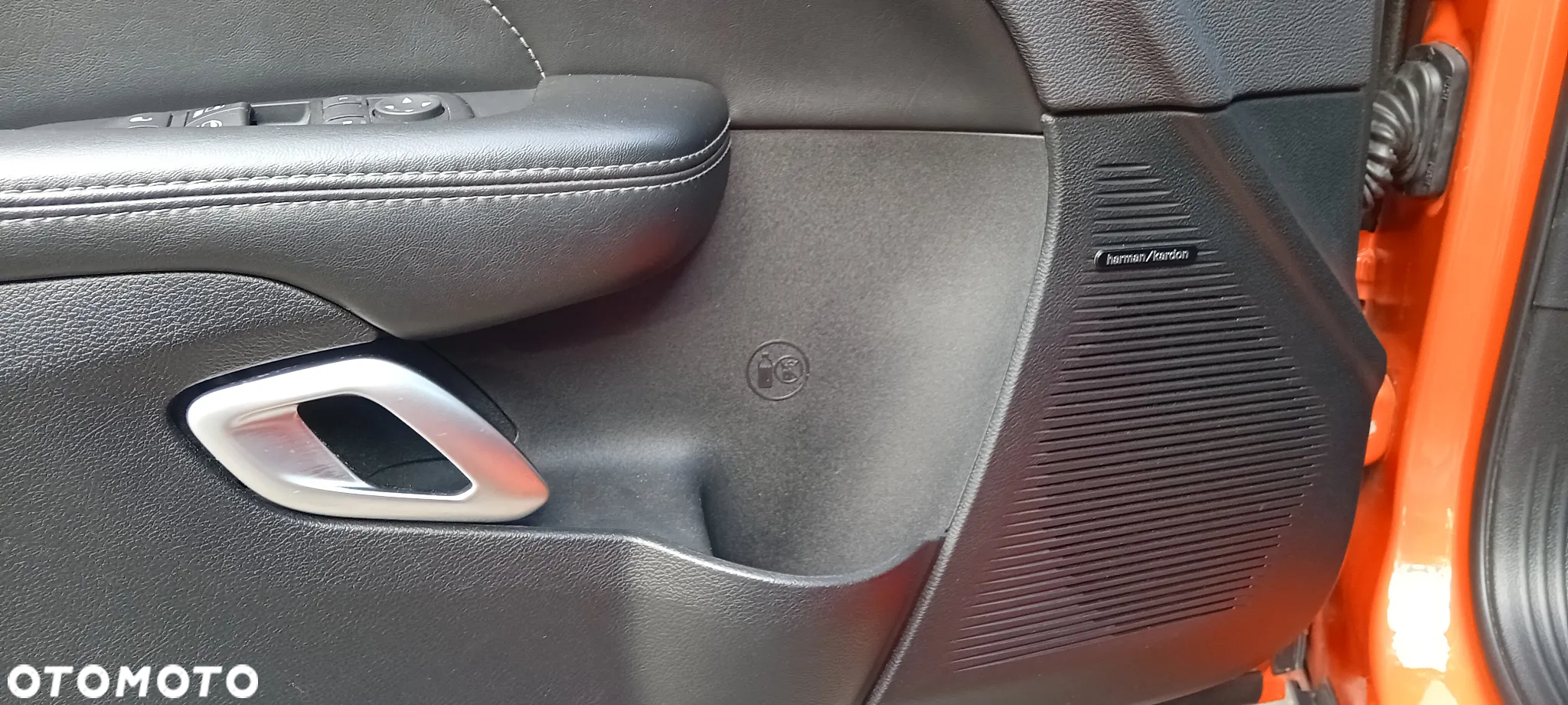 Dodge Challenger Automatik R/T Plus - 22