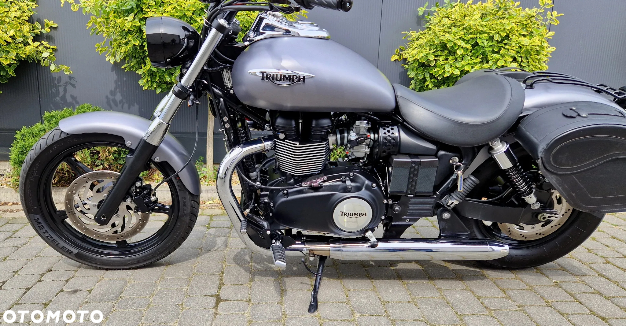 Triumph Speedmaster - 22