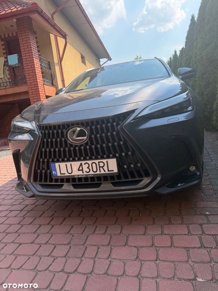 Lexus NX - 3