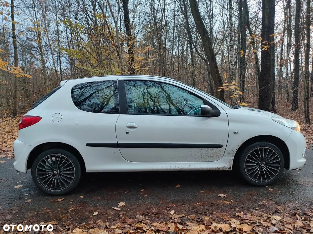 Peugeot 206 plus - 5