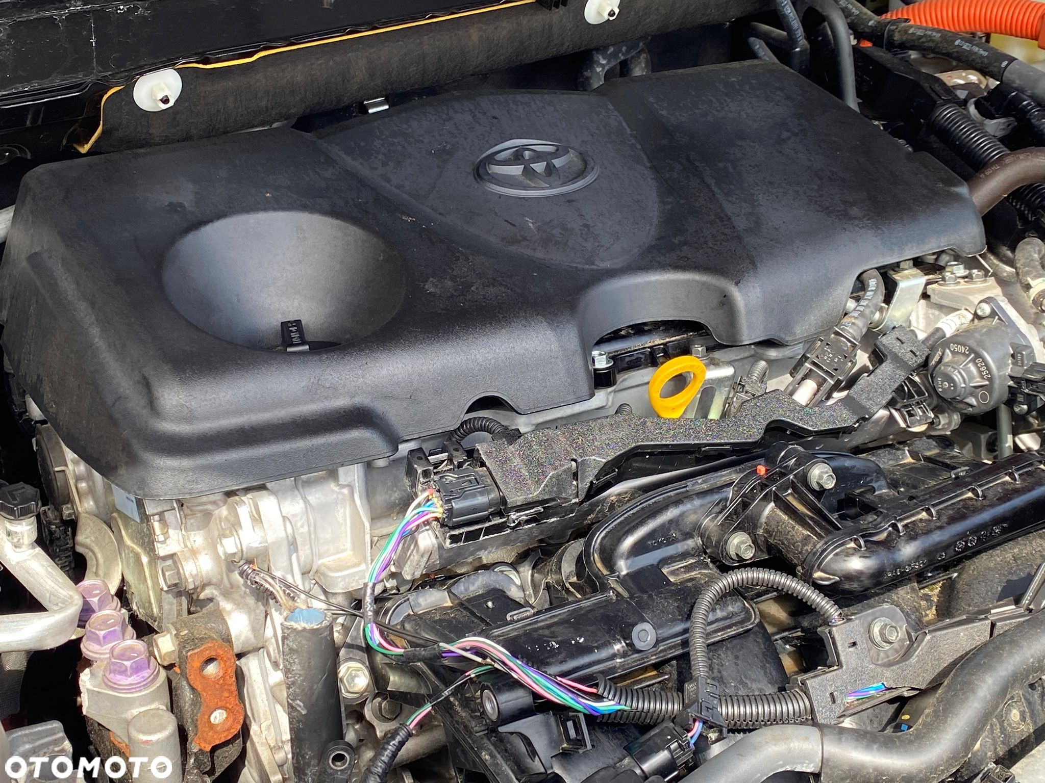 Toyota RAV4 - 6