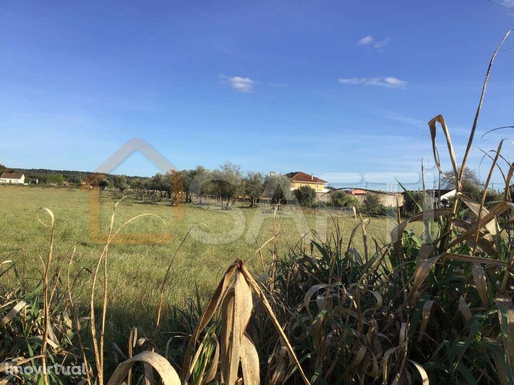 Terreno rústico na Zona Urbana com 6.800m2 em Fojo - Rossio ao Sul ... - Grande imagem: 5/14