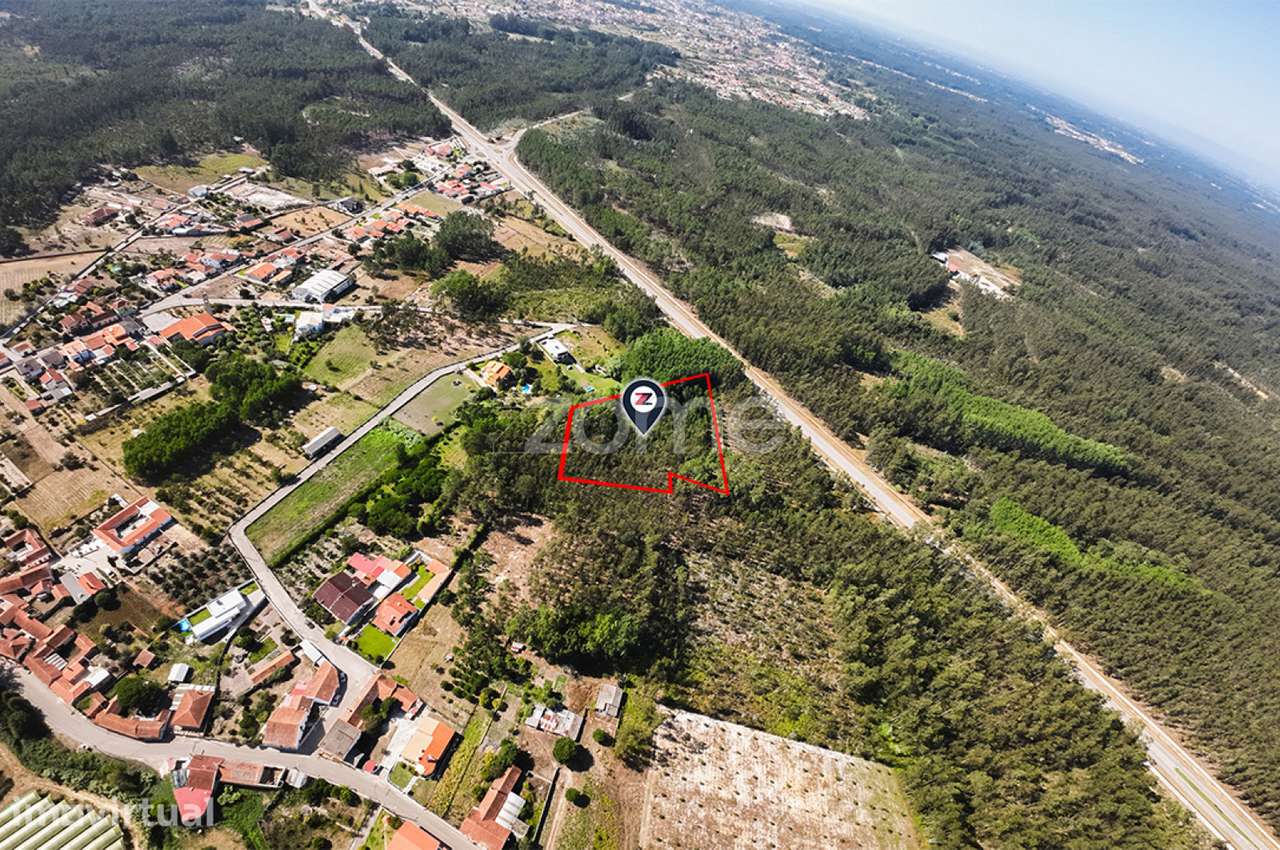 Terreno | 4.160m2 | Cantanhede | Oportunidade | - Grande imagem: 3/9