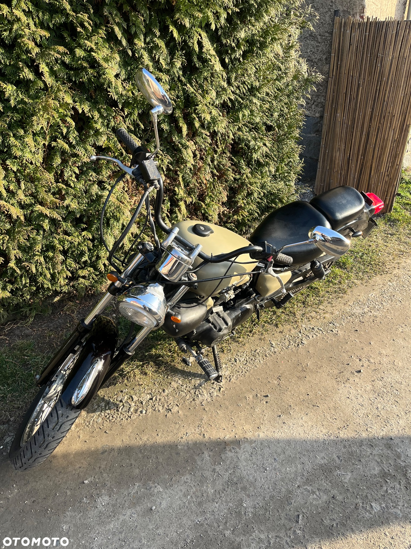Yamaha Virago - 6
