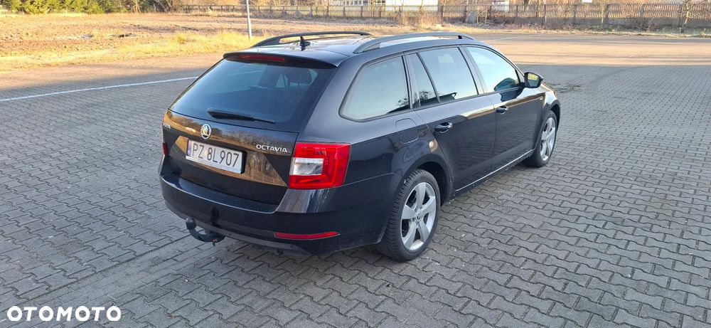 Skoda Octavia 1.0 TSI Drive DSG - 31
