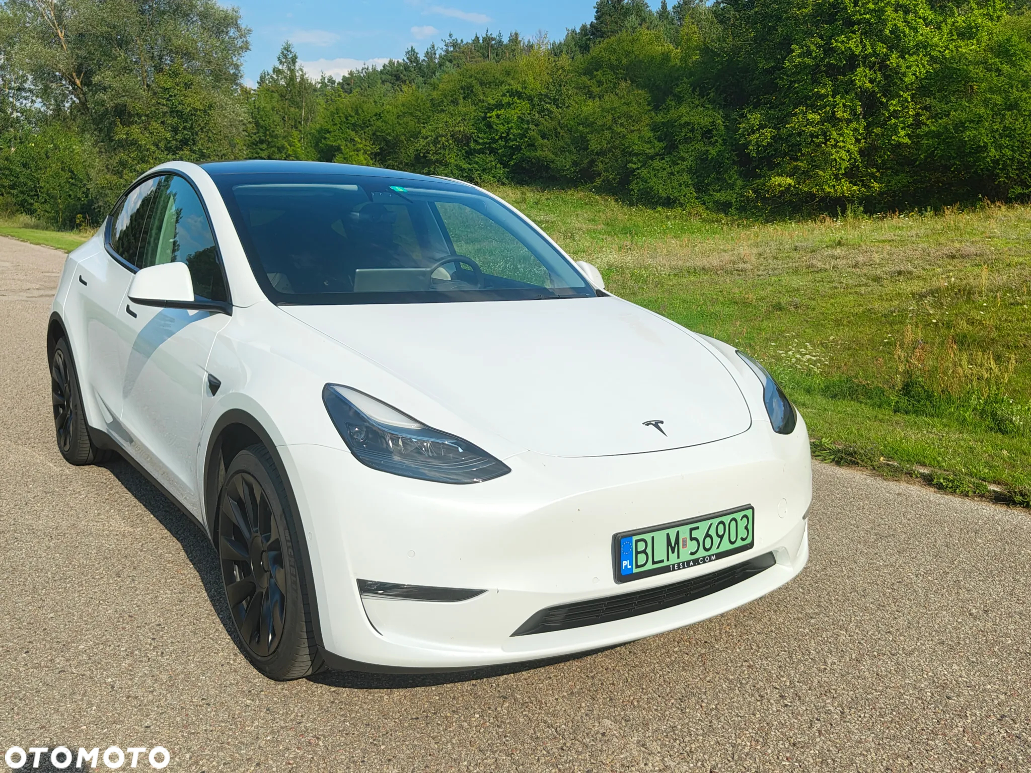 Tesla Y Model Long Range Dual Motor AWD - 4