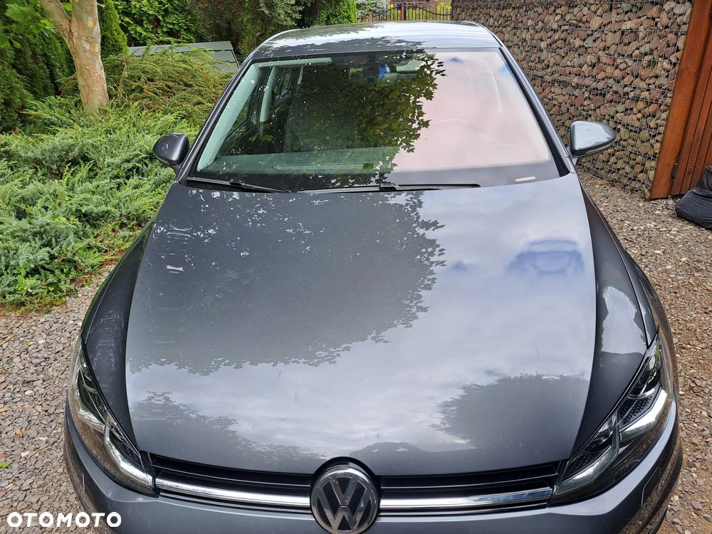 Volkswagen Golf VII 1.6 TDI BMT Highline - 10