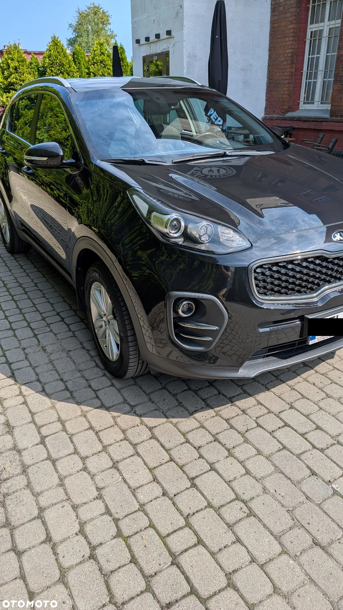 Kia Sportage 1.6 GDI L Business Line 2WD - 2