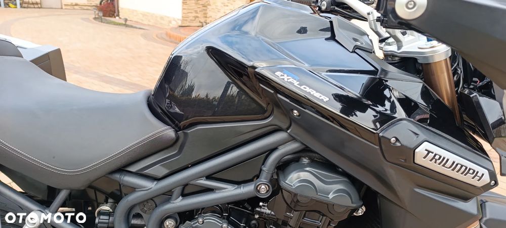 Triumph Tiger - 25