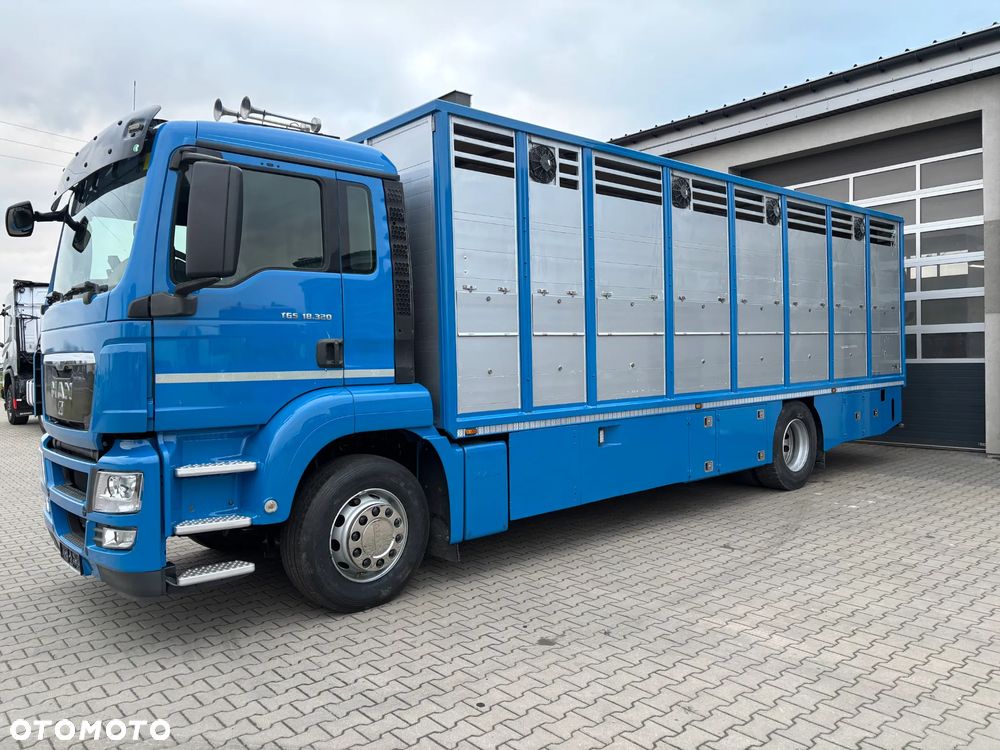 MAN TGS 18.320 2010 rok do przewozu zwierząt , do żywca, do bydła ,zabudowa FINKL z przegordami i wentylatorami , rampa hydrauliczna , z Niemiec - 1