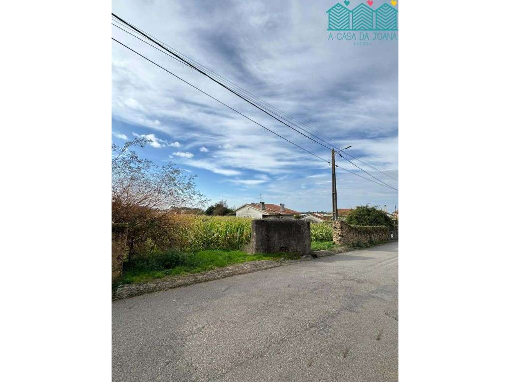 2 Terrenos na Branca - Grande imagem: 2/7