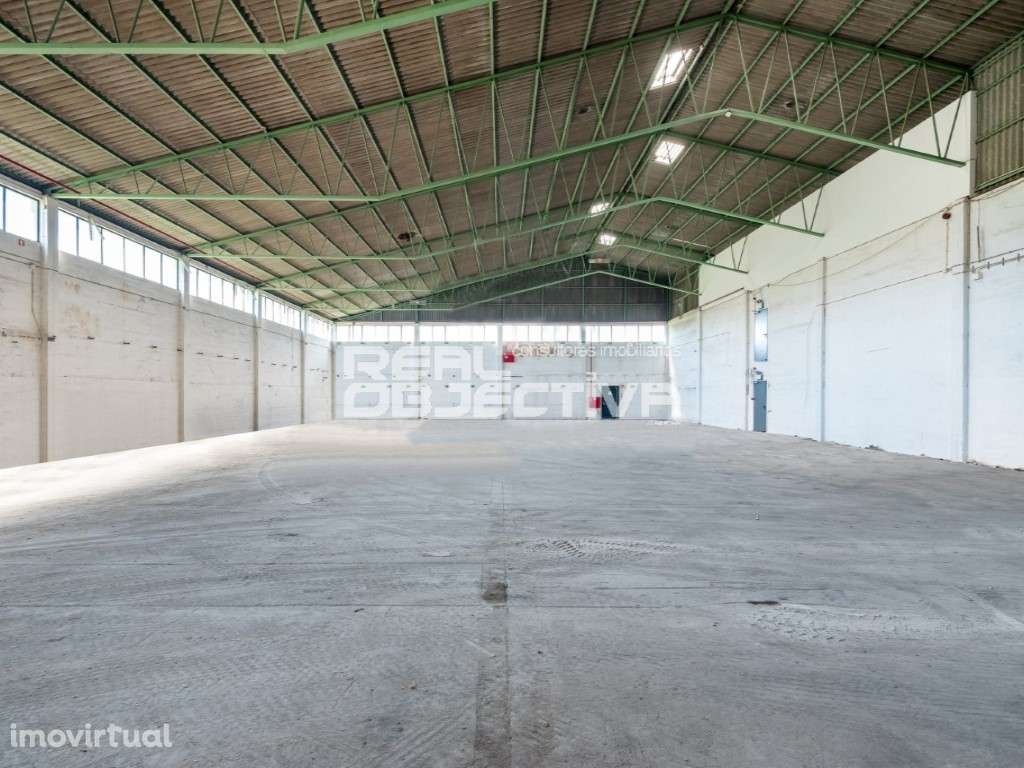 Armazém com amplo logradouro - Grande imagem: 4/13